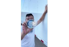 New Wing Opening Van Semi Trailer